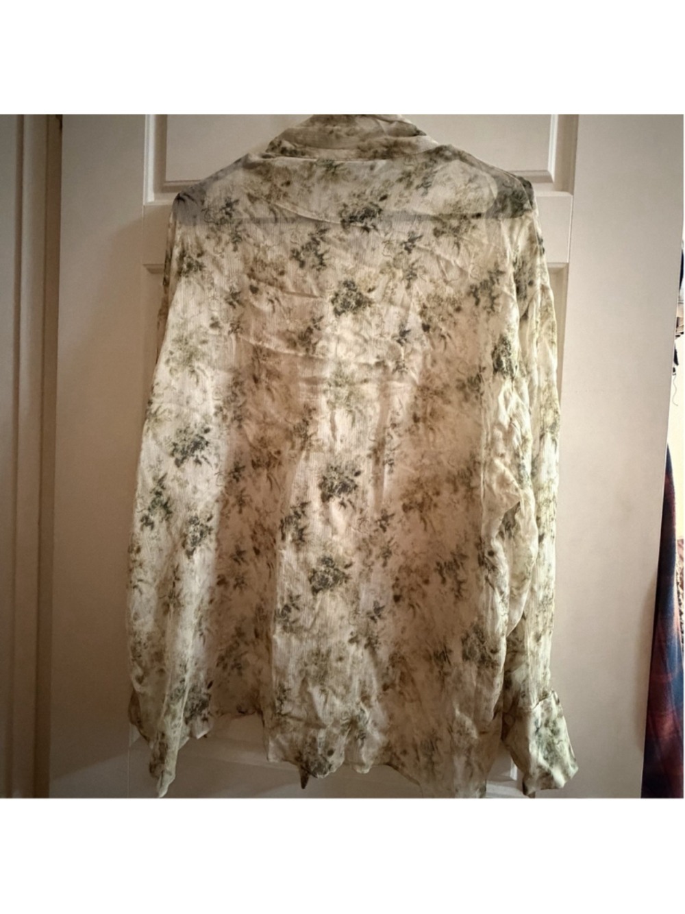 Zara Sheer Floral Tie Blouse - Size Large - Picture 4 of 14